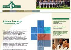 Our web design for Adams consultants.