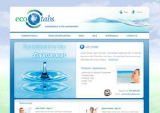 Our web design for Ecotabs, a former client.